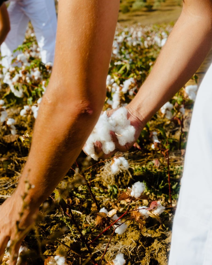 Ovs porta in negozio la prima collezione di cotone biologico coltivato in Sicilia