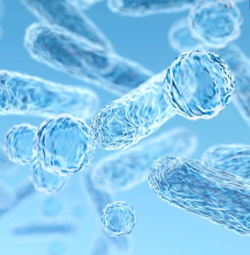 Synbalance si aggiudica il premio NutraIngredients Europe 2022
