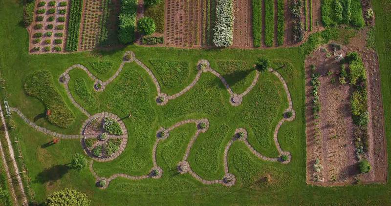 Ricola : la danza delle 13 erbe svizzere