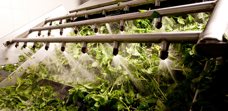 Pesto Barilla svela il viaggio del basilico grazie alla tracciabilità in blockchain