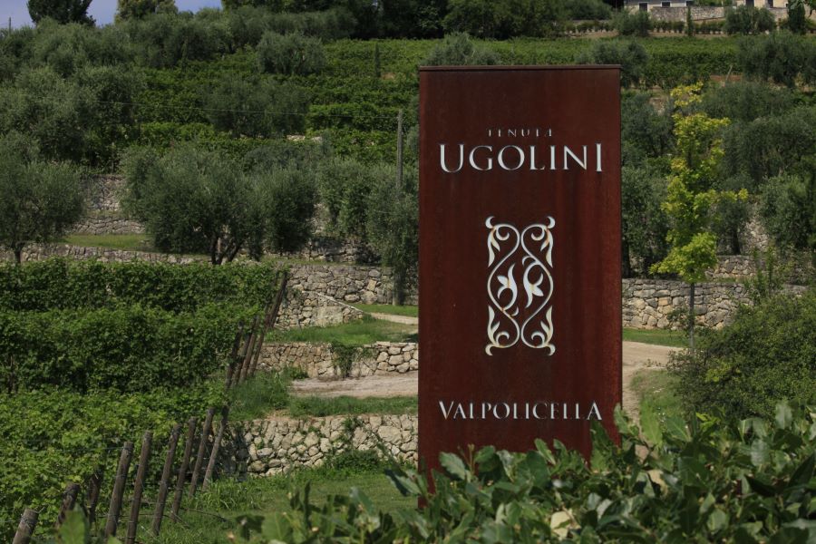 Il Valpolicella Classico Superiore San Michele della Chiesa 2013 si aggiudica la Special Star Direzione Creativa nella categoria Wine & Packaging Design di Mediastars