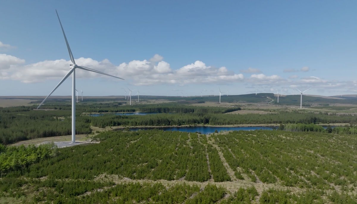 Amazon lancia 3 nuovi progetti legati alle energie rinnovabili in Italia