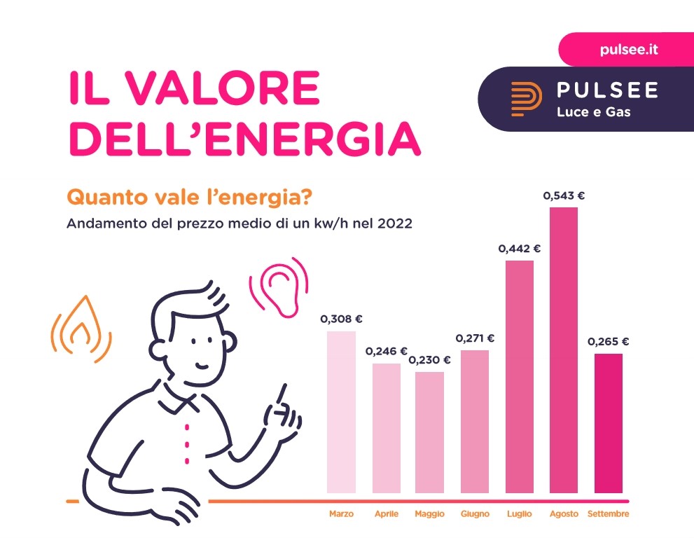 Pulsee: l'energia consapevole per aiutare i consumatori