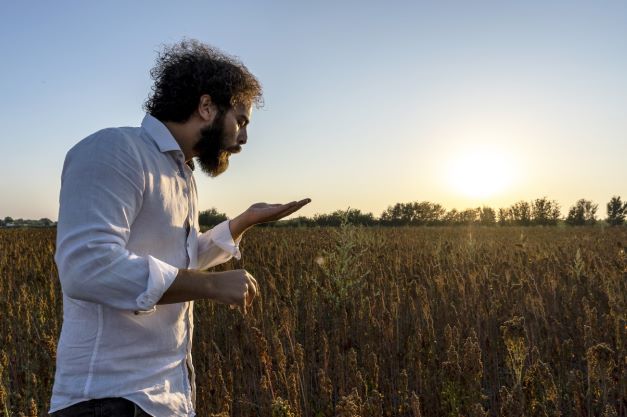 Splende il sole sulla filiera italiana della quinoa