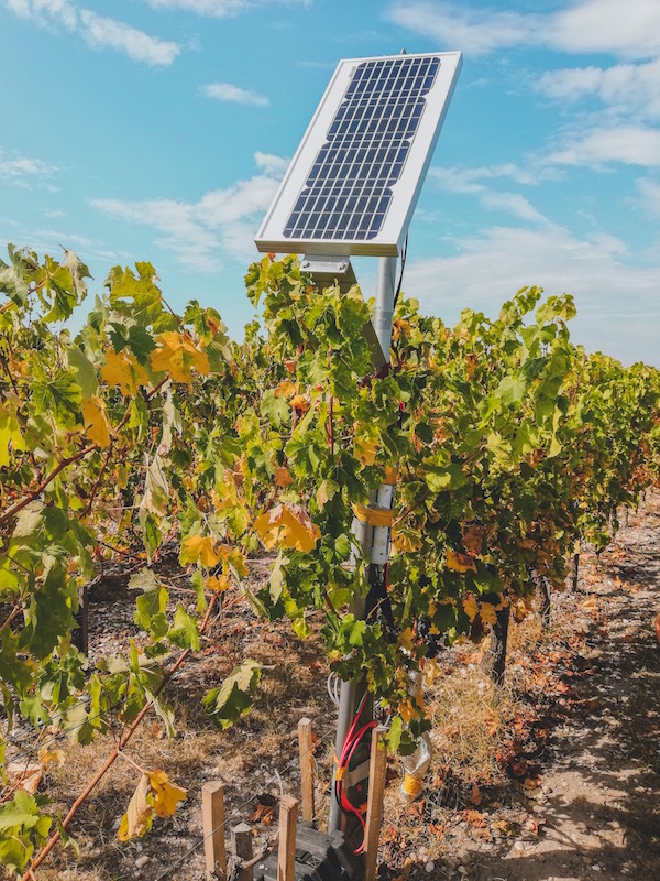 Ambiente e rinnovabili: da Senec 4 innovazioni solari per un pianeta più sostenibile