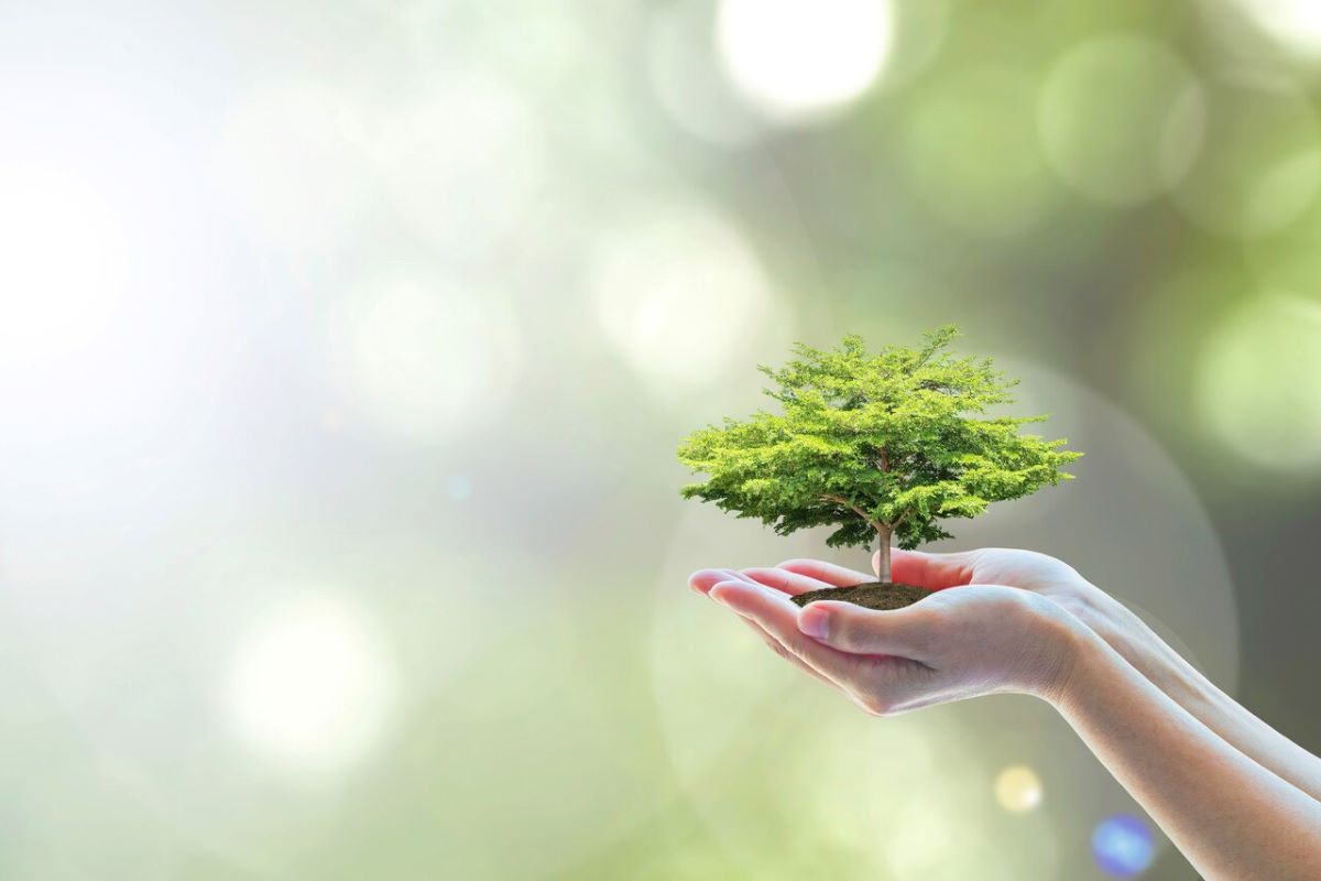 Altea Green Power: siglato un accordo con LevelTen Energy, provider di m&a software solution nel settore dell’energia rinnovabile