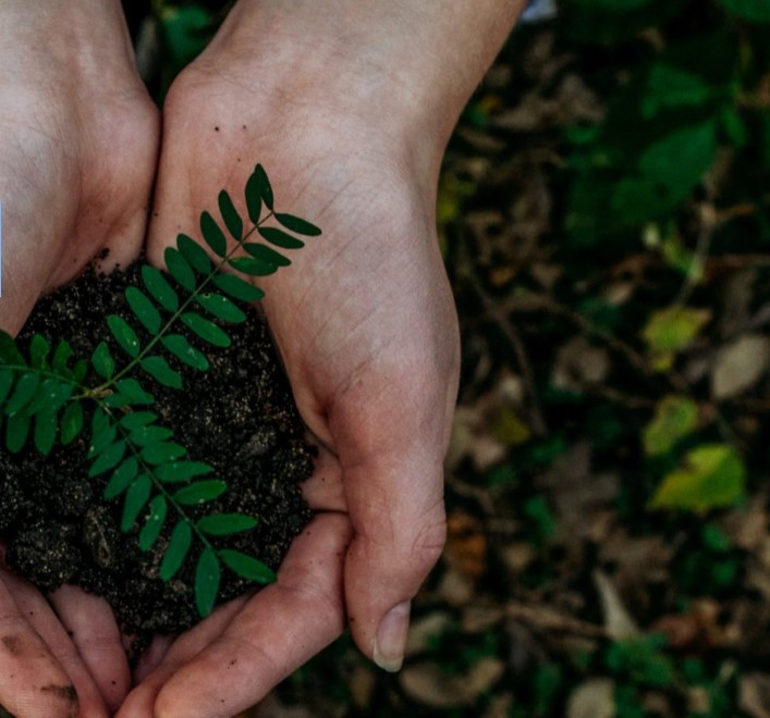 Cogenera Italia e Femosan fondano Biocer e mettono a disposizione 5,5 Mw per le Cer agricole