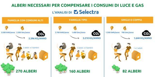 Green Retail  - Selectra: per compensare i consumi annuali di luce e gas di una famiglia servirebbero almeno 160 alberi 