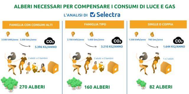 Selectra: per compensare i consumi annuali di luce e gas di una famiglia servirebbero almeno 160 alberi