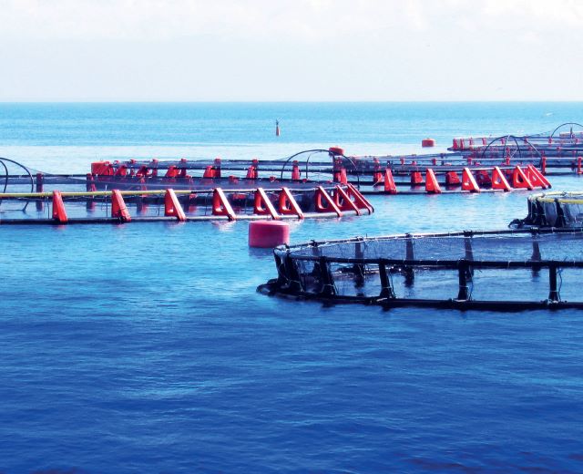 AquaFarm, dalla sessione istituzionale un esplicito appoggio all’acquacoltura italiana