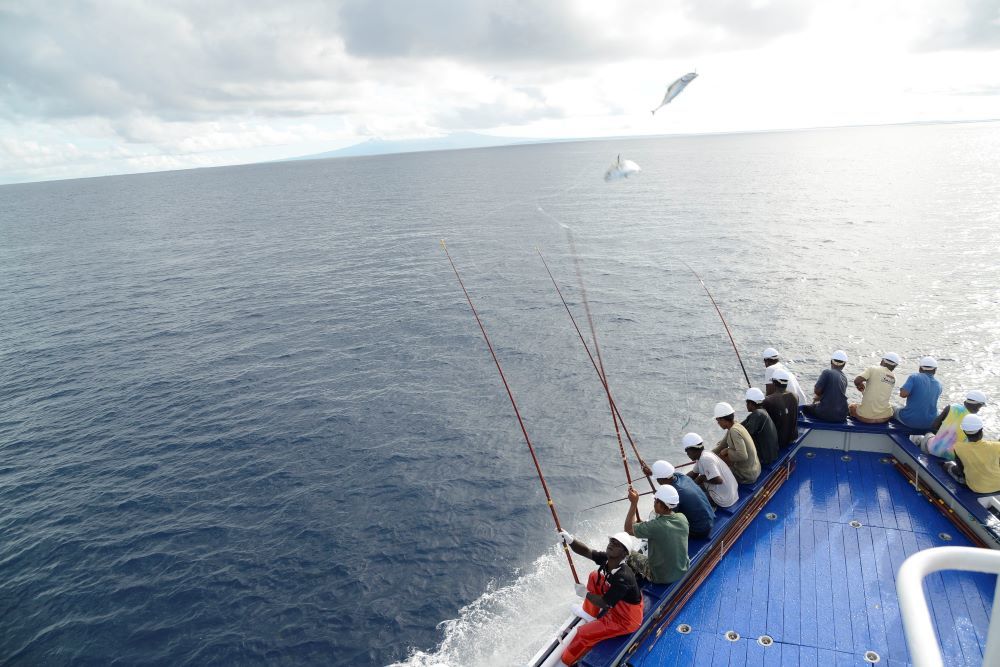 Rio Mare è al fianco di Msc per “le Settimane della pesca sostenibile”