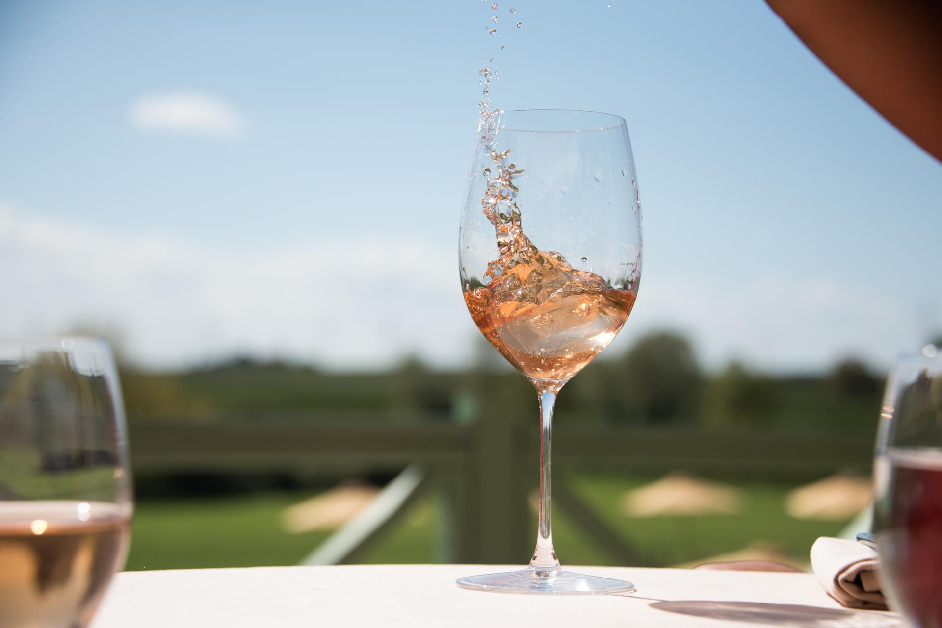 Il nuovo volto del Consorzio Vini Bardolino, tra radici e innovazione