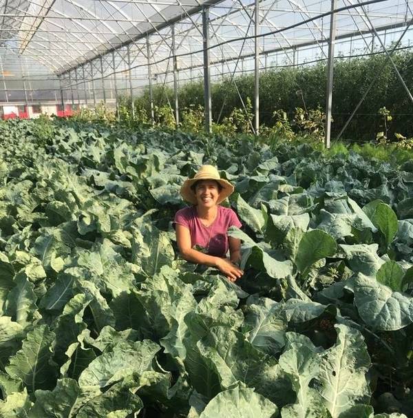 In tempo di pandemia contadini digitali studiano l'orto “agroecologico” via zoom