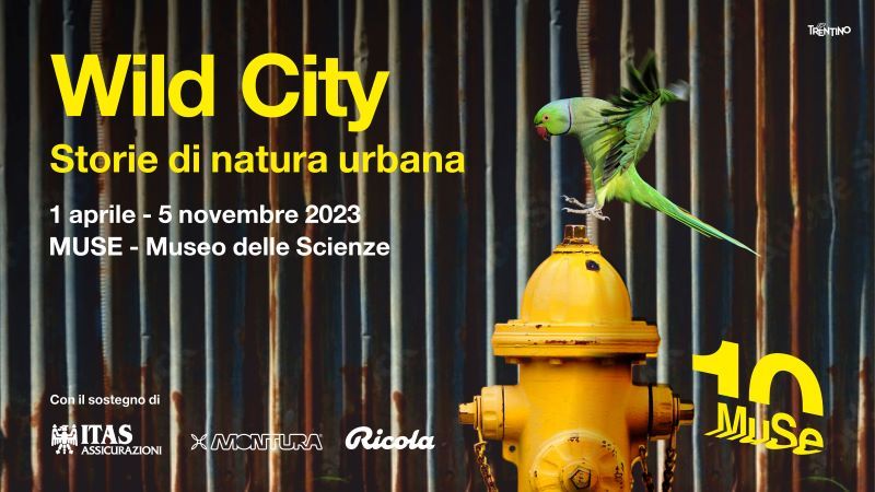 Ricola sostiene la mostra Wild City al Museo delle Scienze di Trento