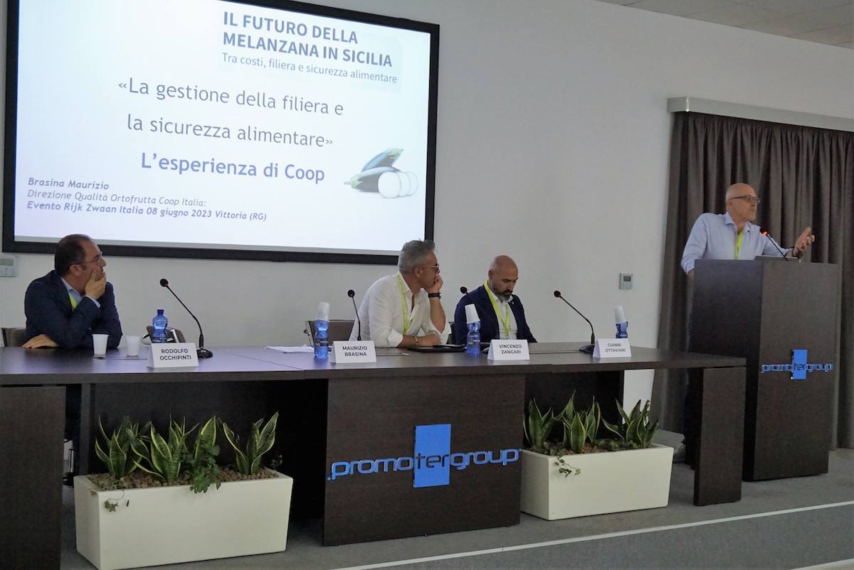 Il futuro della melanzana in Sicilia: Rijk Zwaan Italia fa incontrare Gdo e mondo produttivo