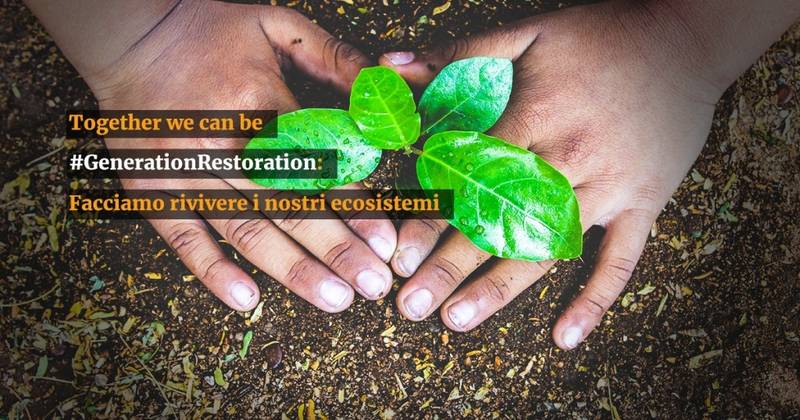 Barilla Foundation per la Giornata Mondiale dell'Ambiente
