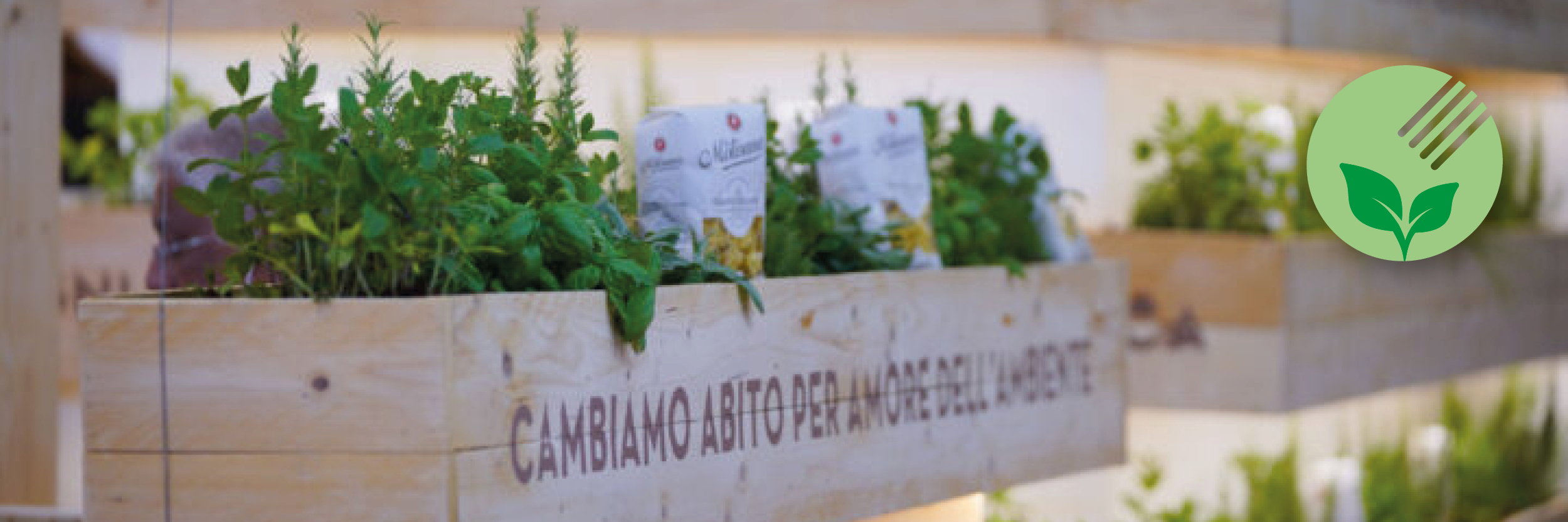 Cibus 4 Sustainability