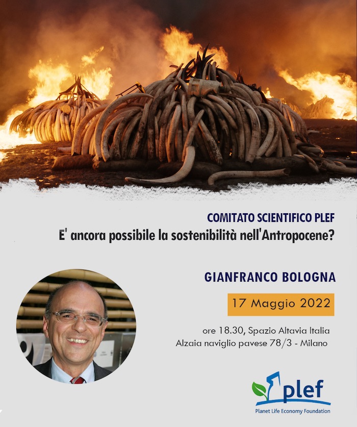 E' ancora possibile la sostenibilità nell'Antropocene?
