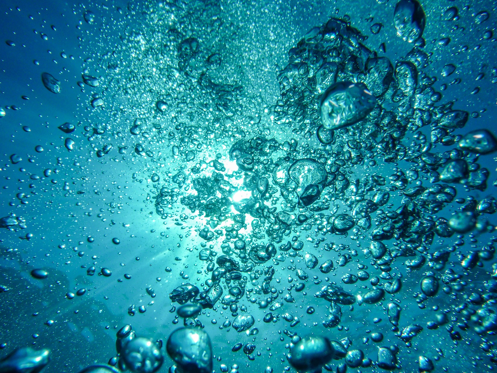 Per l’Earth Day, l’oceano arriva a Torino con gli Aperitivi Blu di Ioc-Unesco