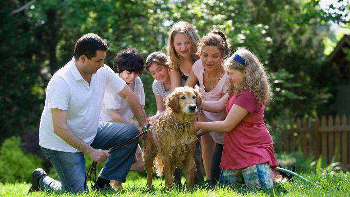 Cani, al via prima fiera-festival italiana