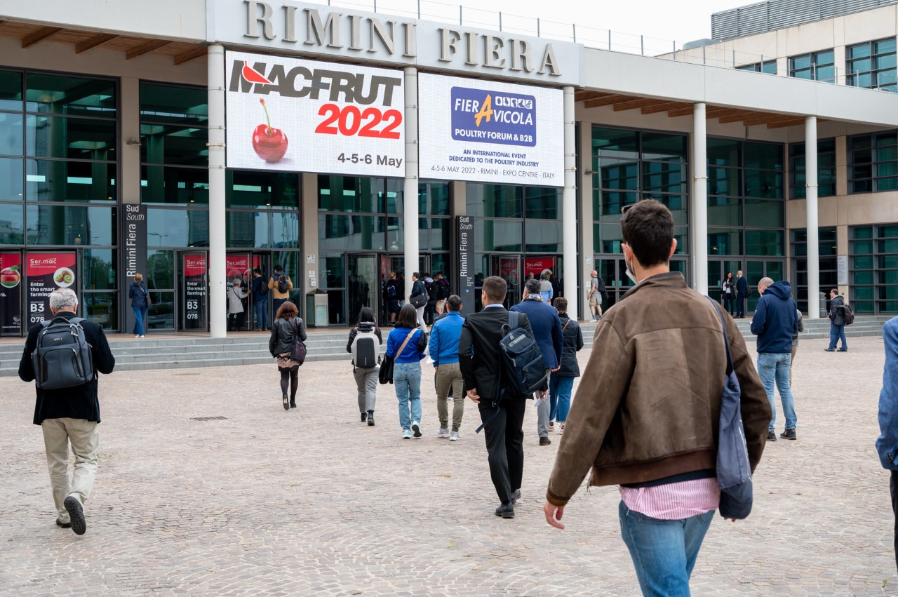 Macfrut 2023 è la capitale mondiale del Mirtillo