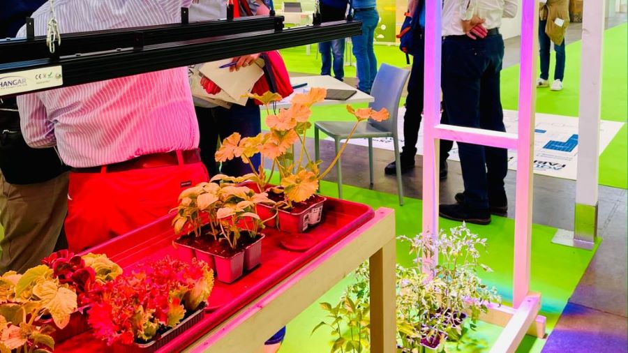 NovelFarm 2024: per la IV gamma il vertical farming è la risposta ai cambiamenti climatici