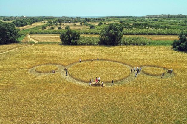 Al via a Roma il "Salotto sugli antichi semi, colture e culture italiane e del mediterraneo" 