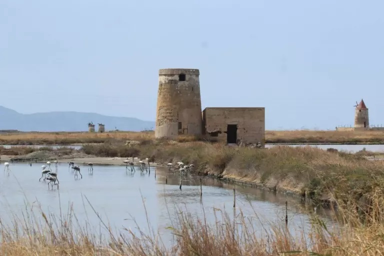 Con le giornate delle oasi Wwf un ricco calendario di appuntamenti in tutte le regioni d’Italia dedicati al valore dell’agricoltura biologica