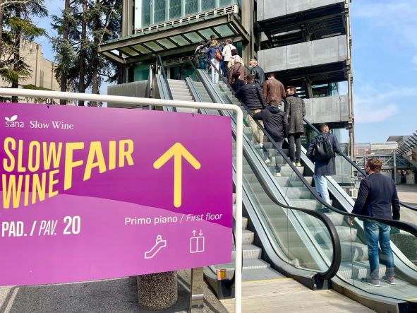 Sana Slow Wine Fair, Petrini e Don Ciotti: Vino e diritti devono andare di pari passo