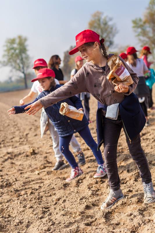 Torna seminare il futuro. Per nutrire il pianeta servono semi adatti alla crisi climatica e al biologico