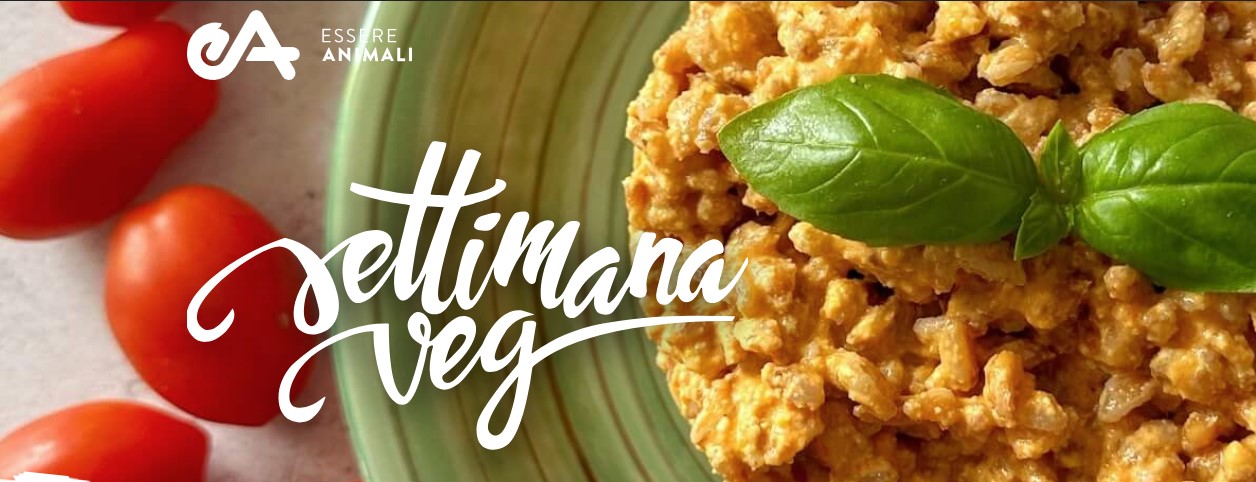 Torna la Settimana Veg, cibo vegetale e sostenibile con Essere Animali e Cucina Botanica