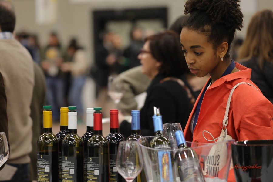 Slow Wine Fair 2024: ecco l’itinerario, calice alla mano, tra i padiglioni di BolognaFiere