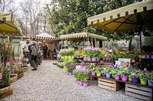 Green Retail  - Il Fai presenta la prima edizione della mostra mercato dedicata a fiori e piante 