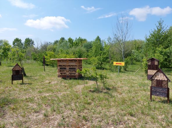 Dhl Global Forwarding dona una Città degli Insetti all'Oasi Martesana