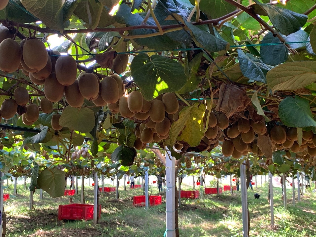 Giornata mondiale dell'acqua, In&amp;Out racconta l'ortofrutta europea, fra lotta agli sprechi e tutela delle fonti dall'inquinamento
