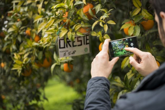 Al via "Vacanze verdi" la campagna green di Giunti Scuola, con l'adozione di 20 mila alberi