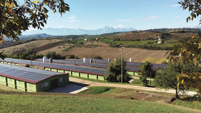 Amadori al Poultry Forum di Rimini