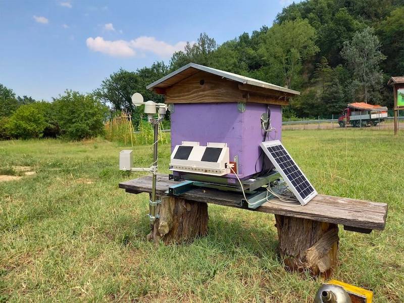 Quando la tecnologia fa bene alle api