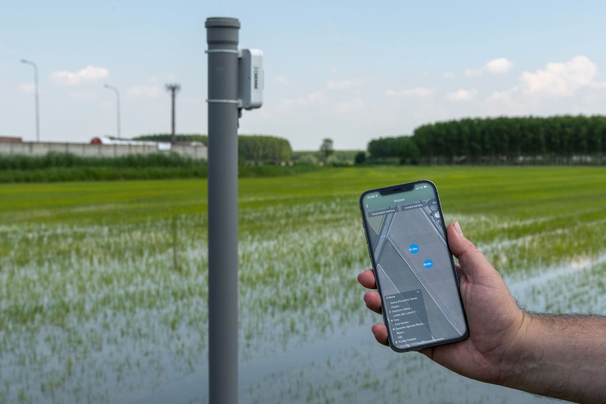 Risaie sostenibili: Riso Gallo si affida alle soluzioni di xFarm Technologies per la digitalizzazione della filiera