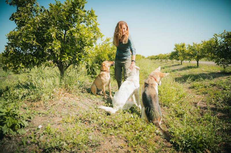 Green Retail  - Il Gruppo Fire adotta 100 alberi per sostenere i piccoli agricoltori e proteggere l'ambiente 