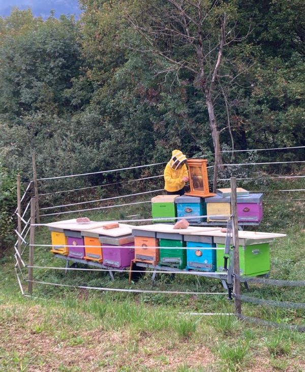 Bauer to Bee è l’alveare adottato da Bauer per proteggere le api e tutelare l’ambiente