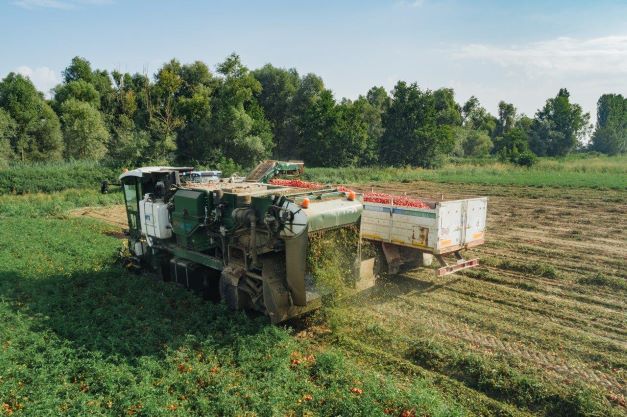 Consorzio Casalasco presenta il Bilancio di Sostenibilità 2021