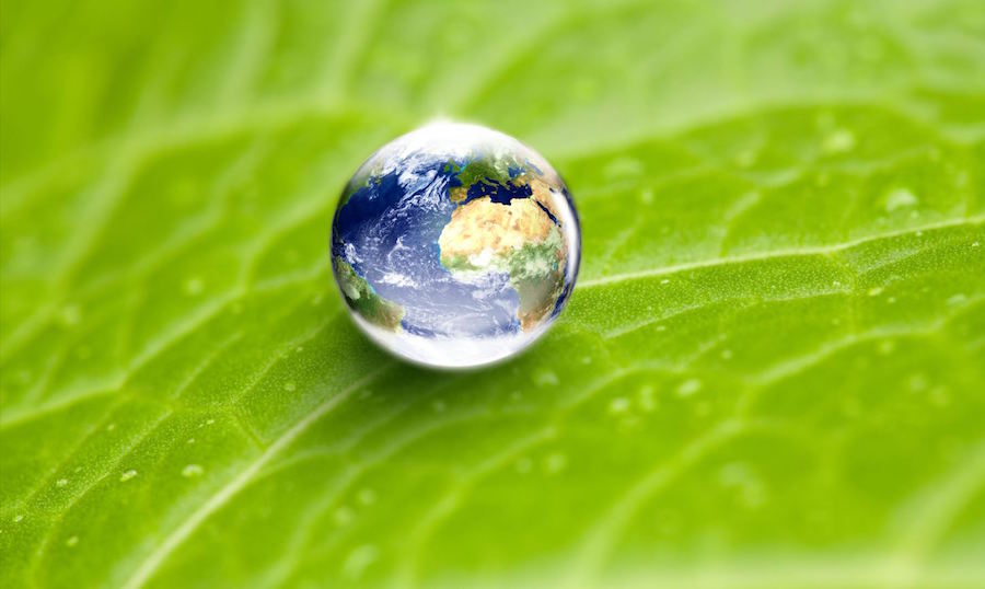 Chep: entro il 2025 energia solo da fonti rinnovabili
