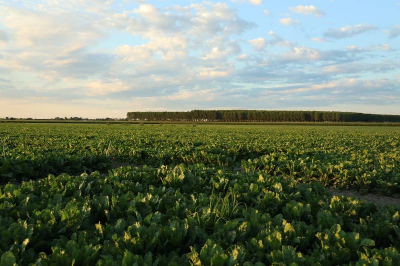 Coprob Conapi: al via il progetto europeo di multifiliera bio a tutela della biodiversità