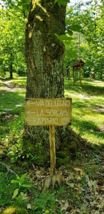 A Granaglione nasce il primo Centro nazionale per lo studio e la conservazione della biodiversità forestale dell’Emilia-Romagna