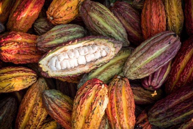 Fairtrade: continua la corsa dei prodotti del commercio equosolidale
