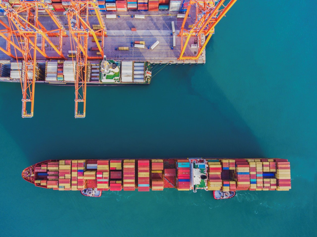 Dhl Global Forwarding e GoodShipping incentivano il trasporto marittimo sostenibile attraverso l'insetting