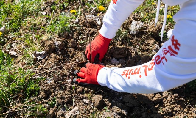 Nova Milanese diventa più verde grazie al progetto Boschi E.ON, in collaborazione con Rete Clima