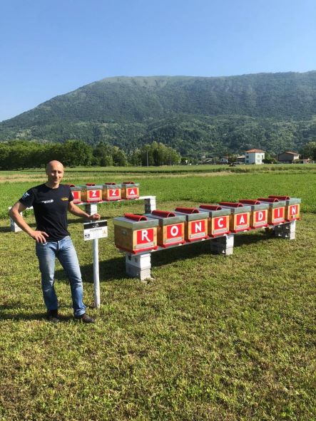 Roncadin adotta 650.000 api. Nell'apiario aziendale produrranno il miele e proteggeranno la biodiversità