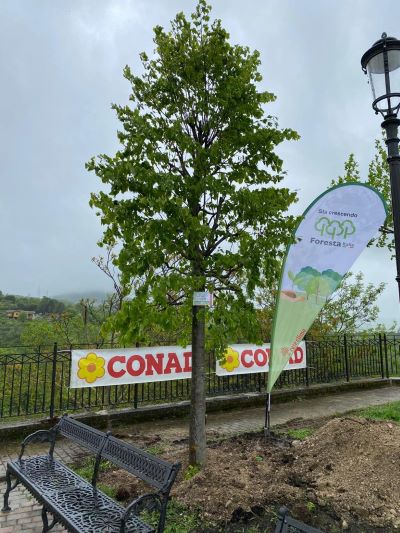 Conad Adriatico insieme a Rete Clima per il progetto “Forestiamo insieme l’Italia” arriva a Tito (Pz)